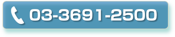 03-3691-2500